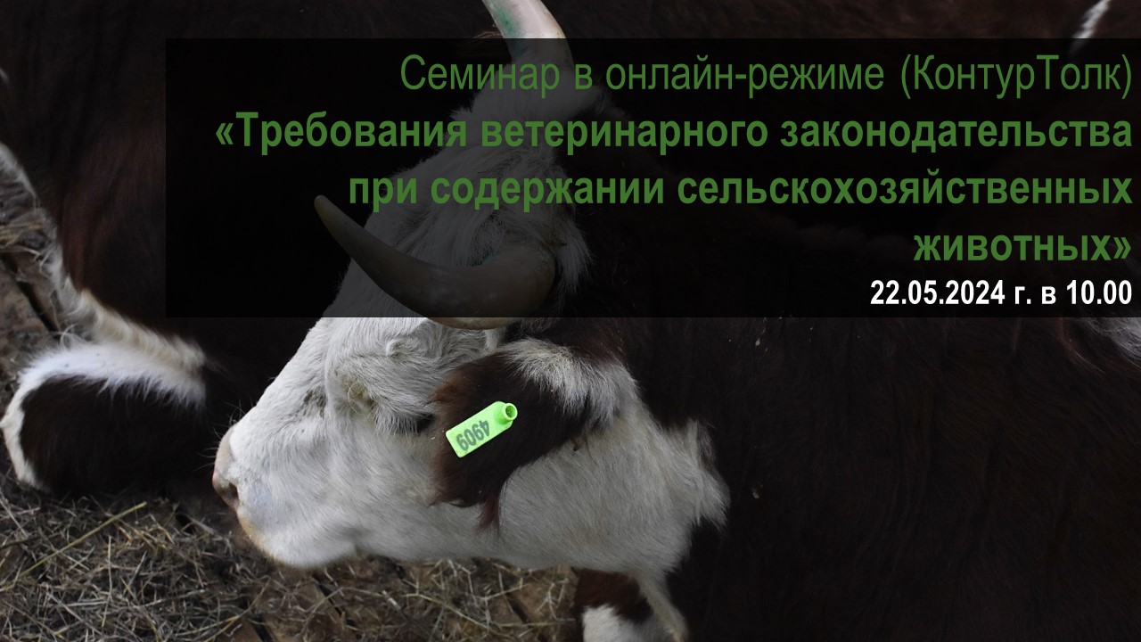 ВКС семинар по теме «Требования ветеринарного законодательства при содержании сельскохозяйственных животных»